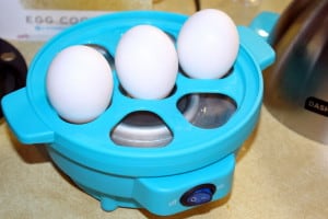 Dash Egg Cooker