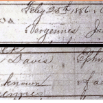 Nellie Davis Birth record