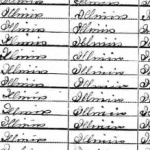 Nellie S. Davis 1900 Census