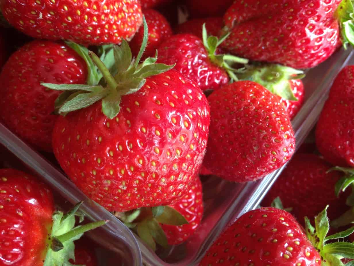 Flamm Orchard Strawberries